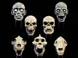 Mythic Legions: All-Stars 6 Undead Heads Pack