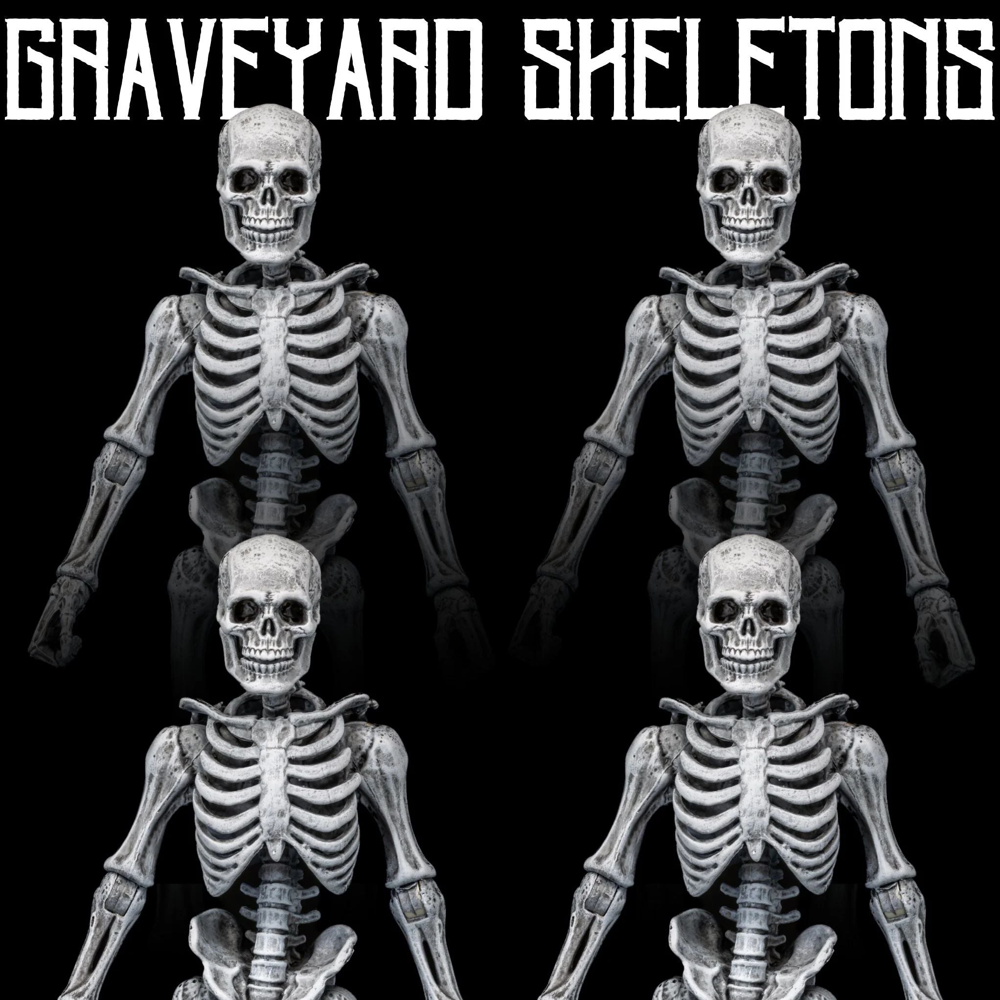 Mythic Legions Graveyard Skeletons 4-Pack – Mike's Toys and Stuff