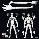Marvel Legends Series Future Foundation Mister Fantastic & Spider-Man 6-Inch Action Figures