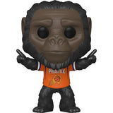 NBA Mascots Phoenix Suns Go-Rilla the Gorilla Funko Pop! #04